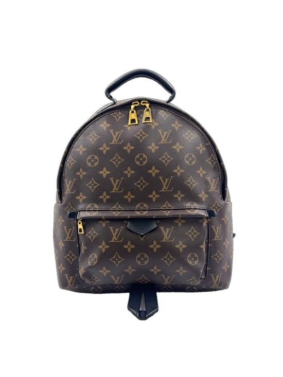 Louis Vuitton Palm Springs Backpack MM Monogram Leather Brown Gold main image 6